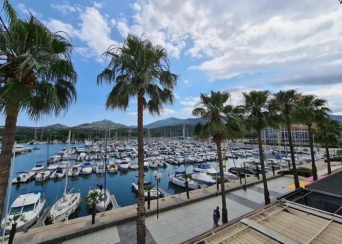Argelès-sur-mer, 2 Pièces, 6 Personnes - Fr-1-388-16 Appartamento