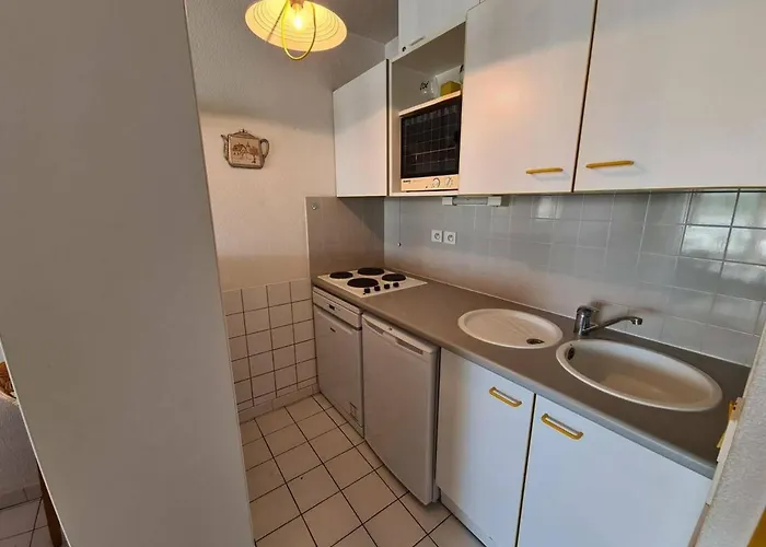 Argelès-sur-mer, 2 Pièces, 6 Personnes - Fr-1-388-16 Argelès-sur-Mer